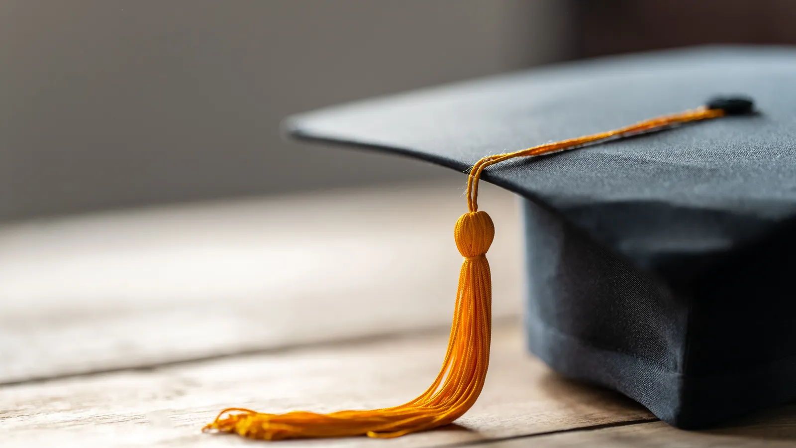 Education is not a ‘professional degree,’ Education Department says