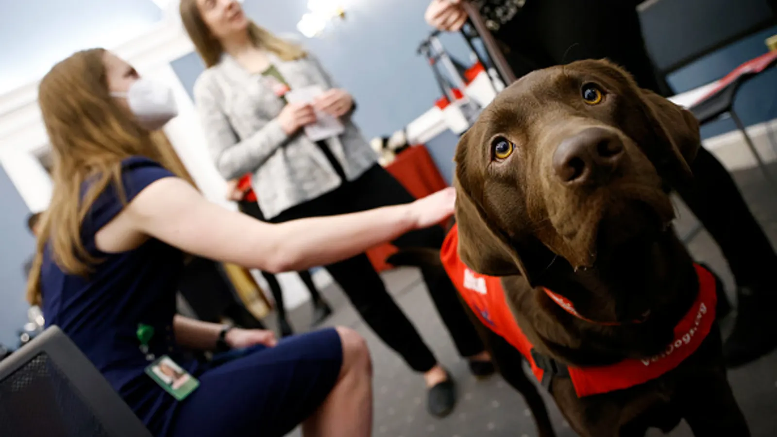 Unpaid ADA leave was reasonable for guide dog training, 6th Circuit says