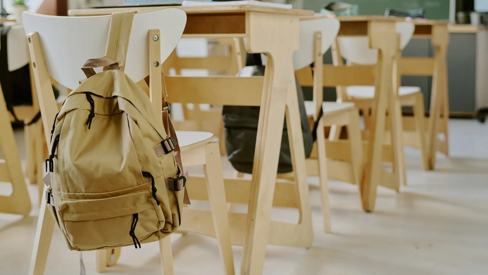 Analysis finds 1 in 5 students are chronically absent